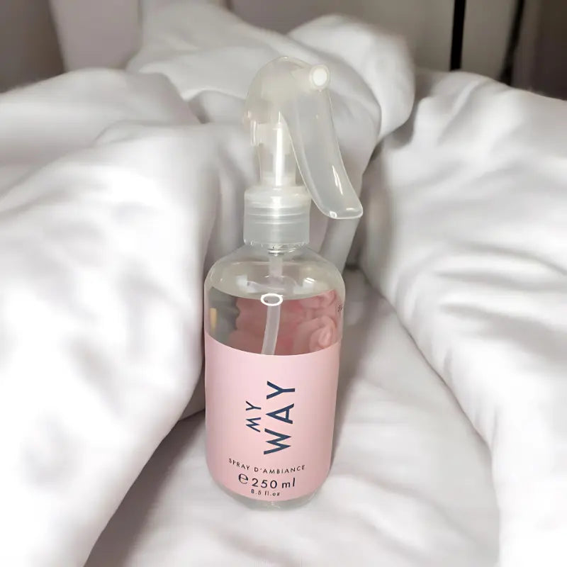 spray textile interieur my way