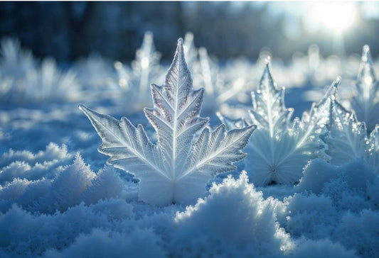 🌬️ Quel parfum choisir en hiver ? Les senteurs qui réchauffent l'âme